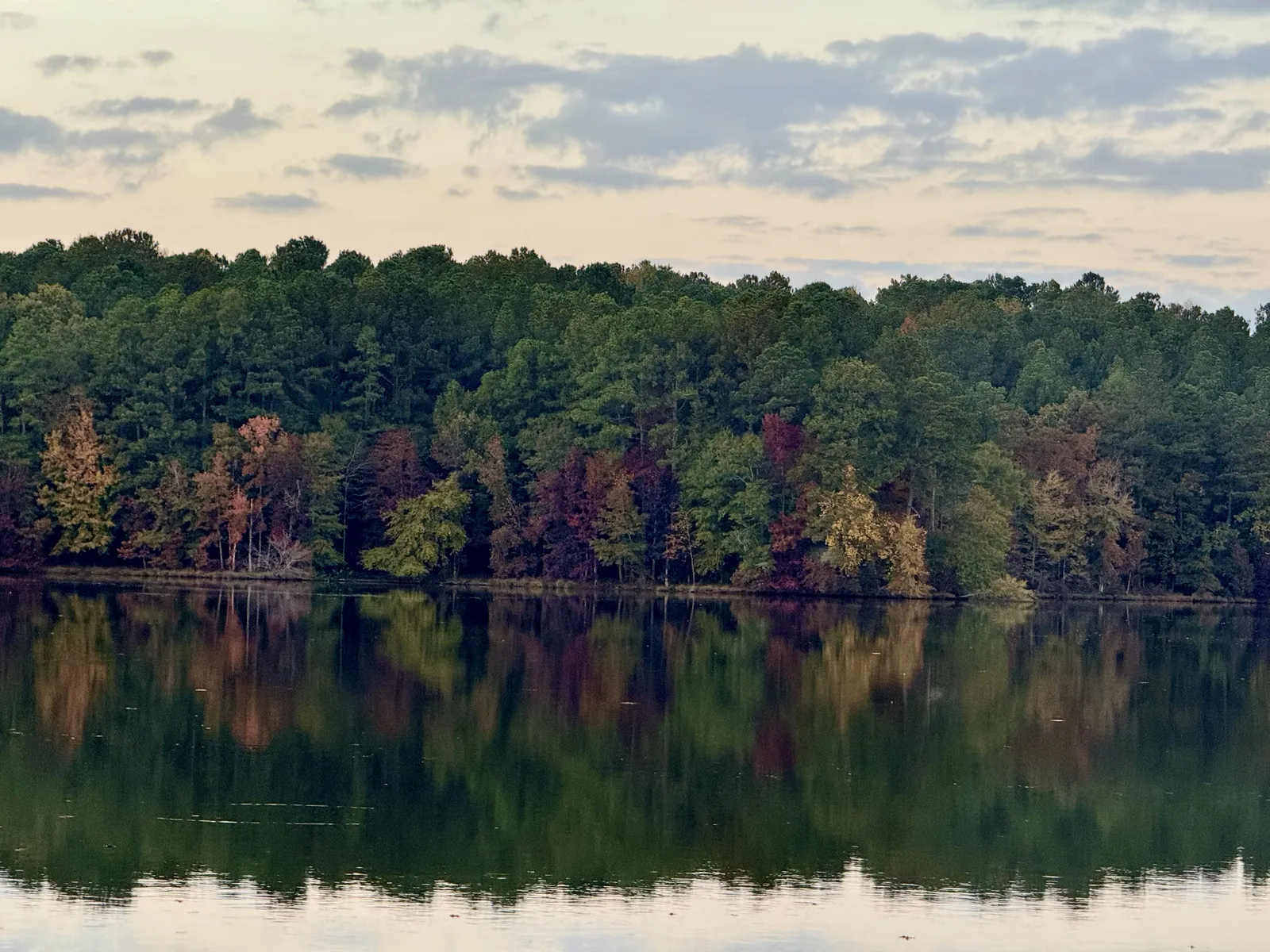 Fall trees reflected on still Lake Oconee water