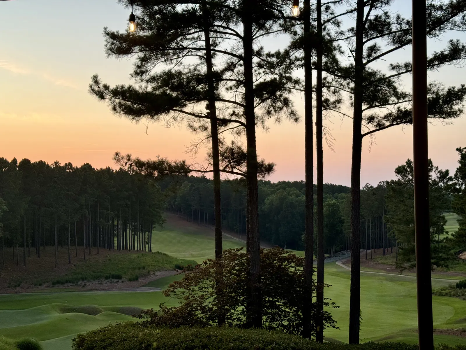 Sunset over a golf fairway through tall pines at Lake Oconee
