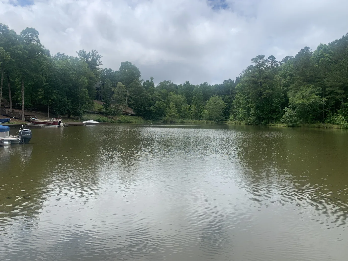 A quiet gray cove on Lake Oconee