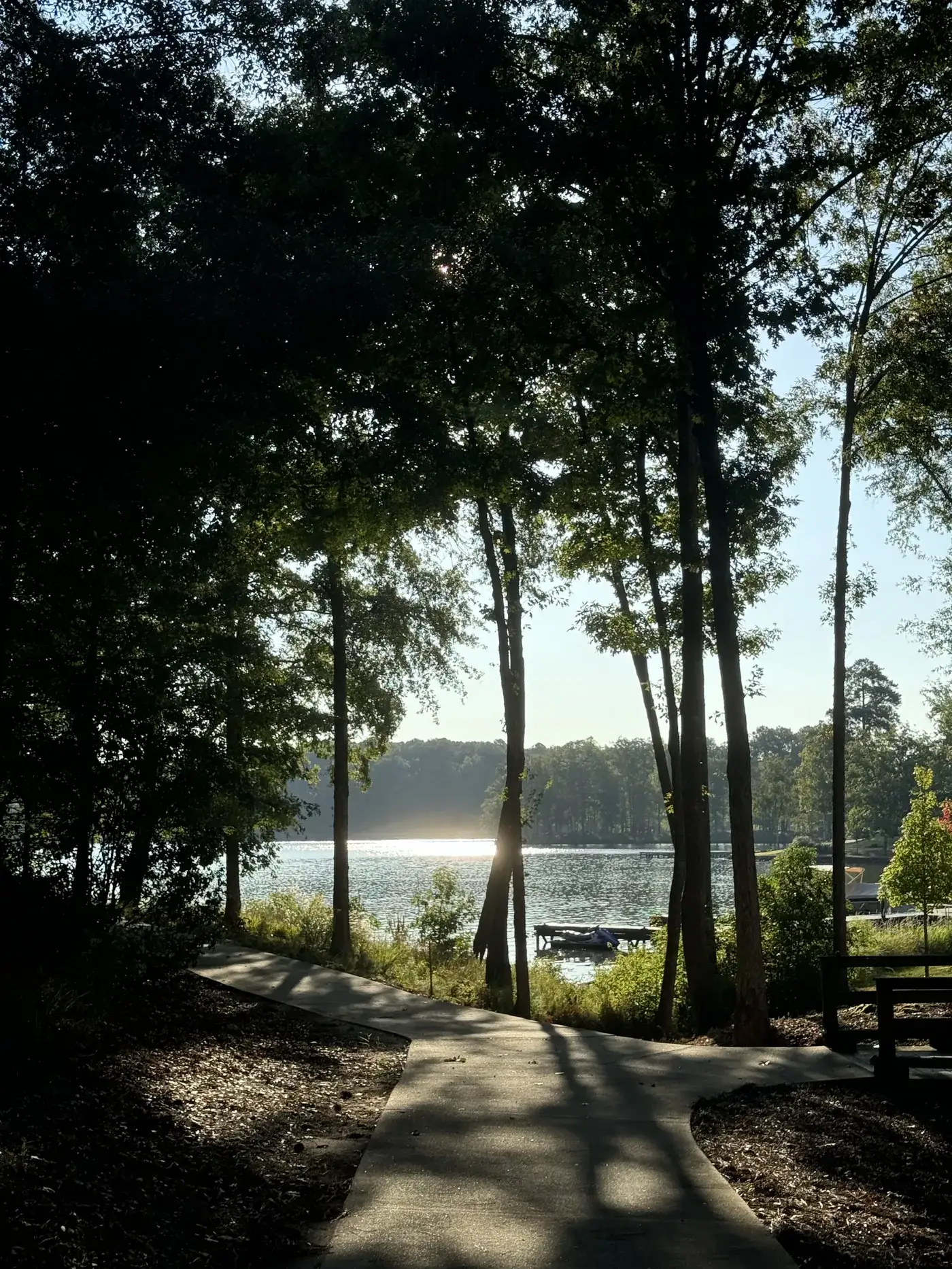 A path through the trees down to a Lake Oconee dock